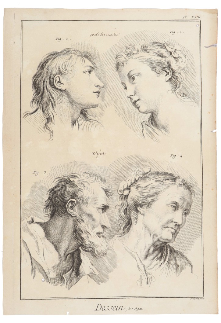 Study of faces and expressions. Picart, Bernard (1673-1733) - Le Brun, Charles (1619-1690). Ca. 1734. Precio: 150€