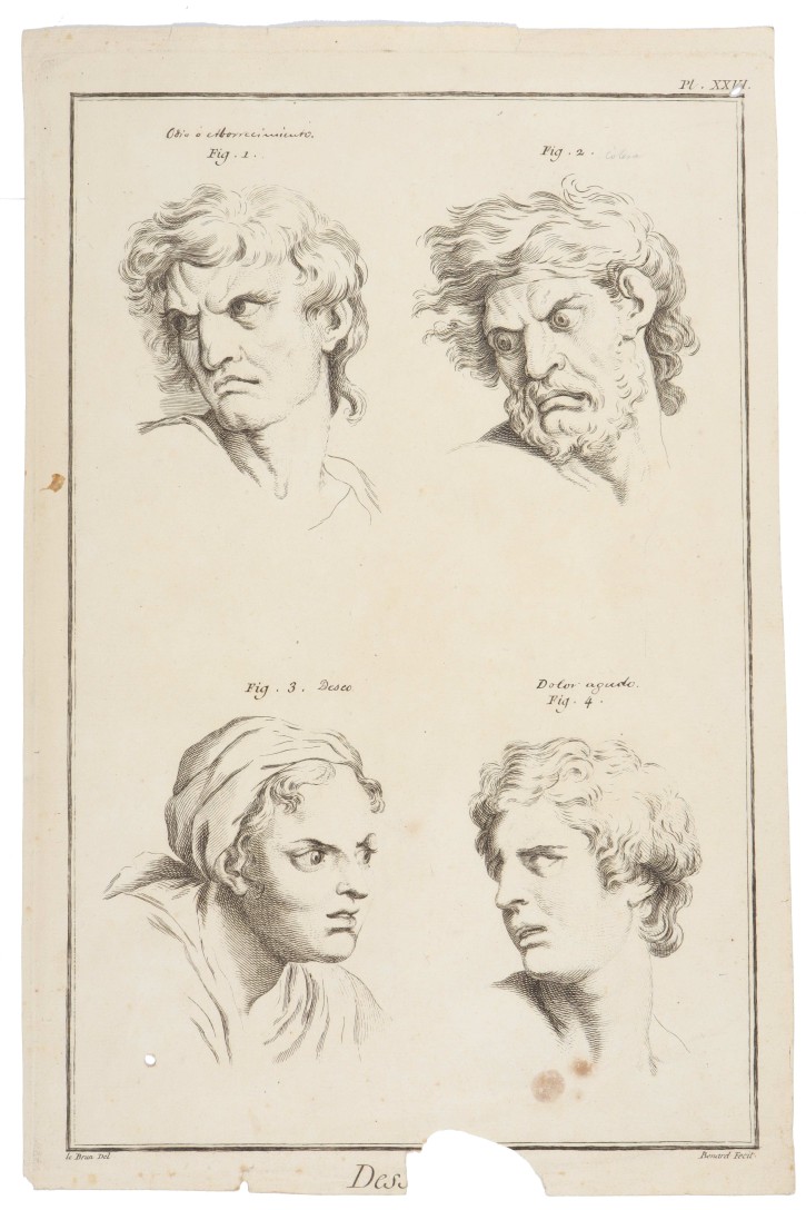 Study of faces and expressions. Picart, Bernard (1673-1733) - Le Brun, Charles (1619-1690). Ca. 1734. Precio: 150€