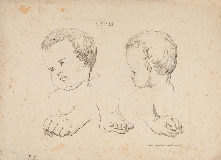 Study of children's heads and two hands and feet. Engelbrecht, Martin (1684-1756). Inicios siglo XVIII. Precio: 200€