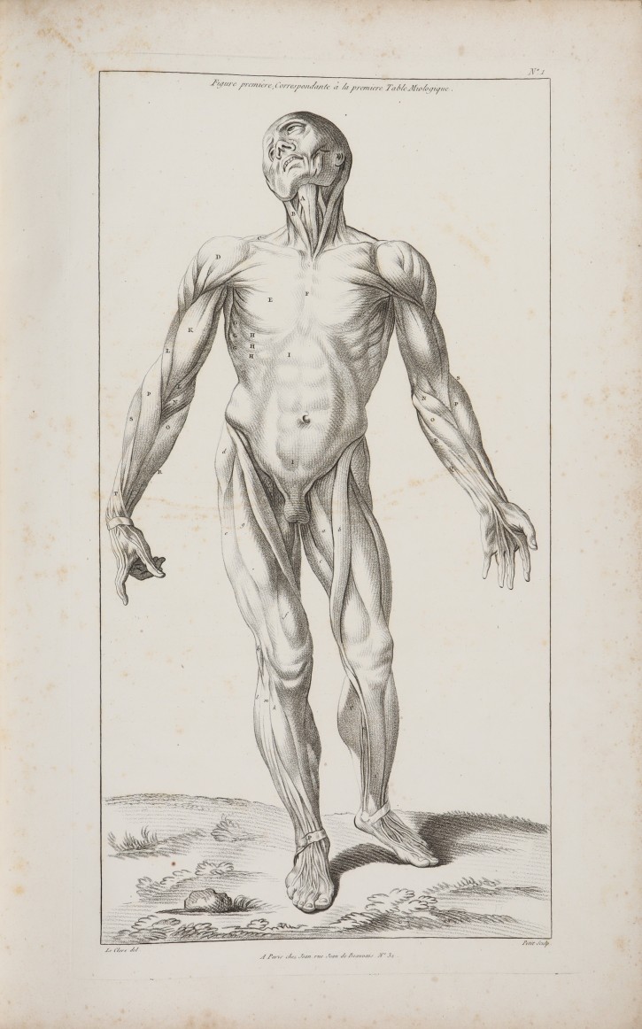 Libro "Nouveau Traité d’Anatomie accomodée aux Arts de Peinture et de Sculpture par Tortebat Executée dms le Genre du Crayon par T. Lecrere...". Le Clerc, Pierre Thomas. . Precio: 1500€