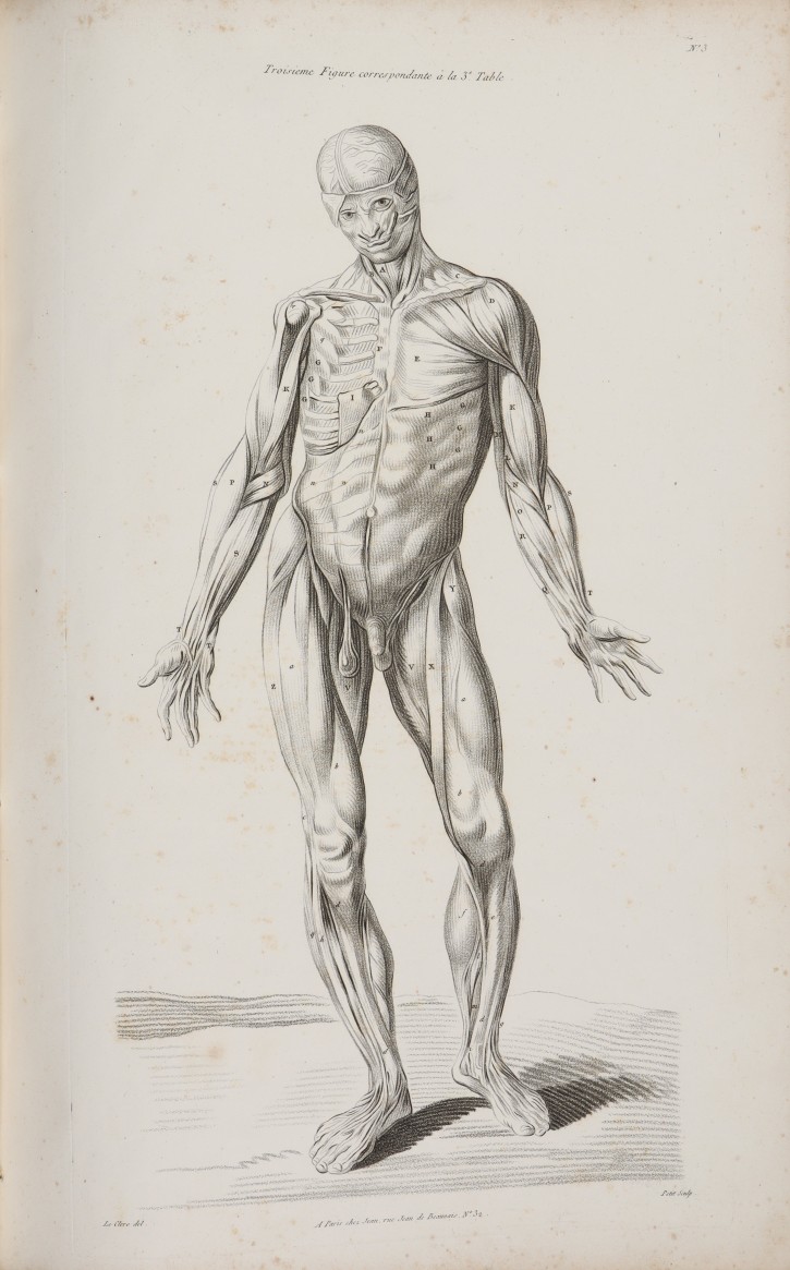 Libro "Nouveau Traité d’Anatomie accomodée aux Arts de Peinture et de Sculpture par Tortebat Executée dms le Genre du Crayon par T. Lecrere...". Le Clerc, Pierre Thomas. . Precio: 1500€