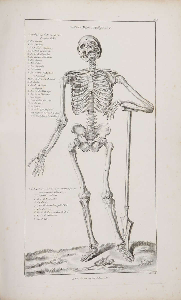 Libro "Nouveau Traité d’Anatomie accomodée aux Arts de Peinture et de Sculpture par Tortebat Executée dms le Genre du Crayon par T. Lecrere...". Le Clerc, Pierre Thomas. . Precio: 1500€