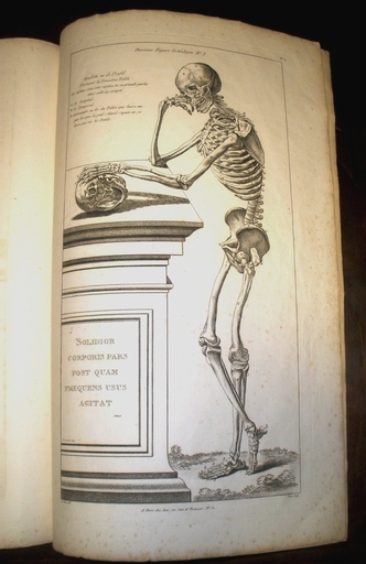 Libro "Nouveau Traité d’Anatomie accomodée aux Arts de Peinture et de Sculpture...". Petit - Le Clerc, Pierre Thomas - ?, Jean. . Precio: 1500€