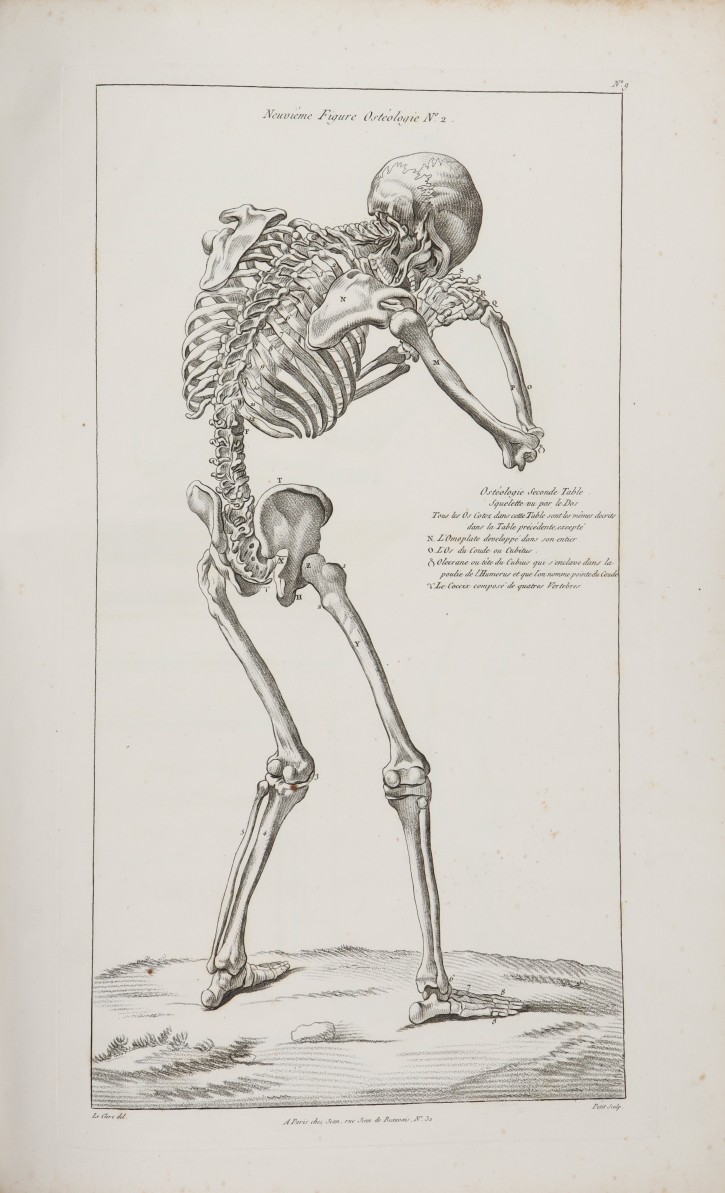 Book "Nouveau Traité d’Anatomie accomodée aux Arts de Peinture et de Sculpture par Tortebat Executée dms le Genre du Crayon par T. Lecrere...". Le Clerc, Pierre Thomas. . Precio: 1500€