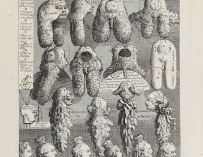 WILLIAM HOGARTH (1697-1764) The five orders of PERREWIGS