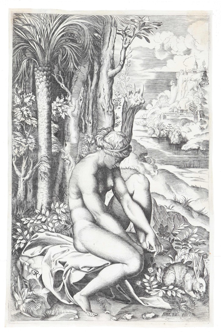 Venus and the rose. Dente, Marco (activo entre 1515-1527). 