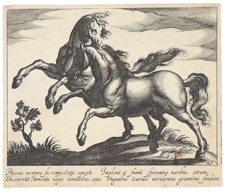 Pair of horses. Tempesta, Antonio (1555-1630). 1611. Precio: 250€