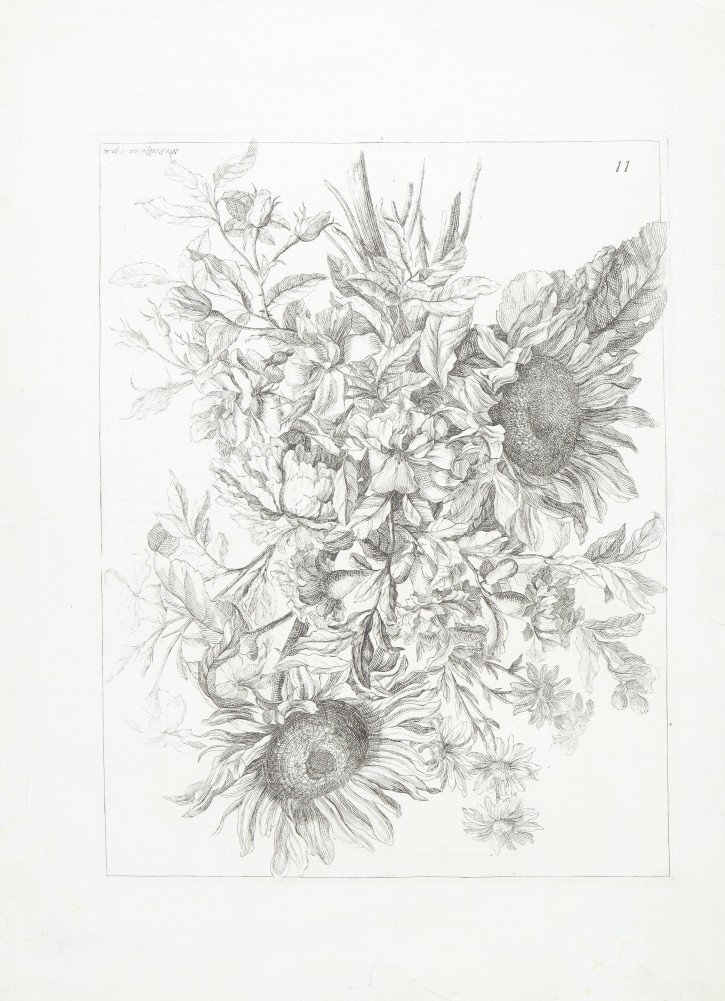 Sunflowers. Poilly, Nicolas de (1626-1696). . Precio: 400€