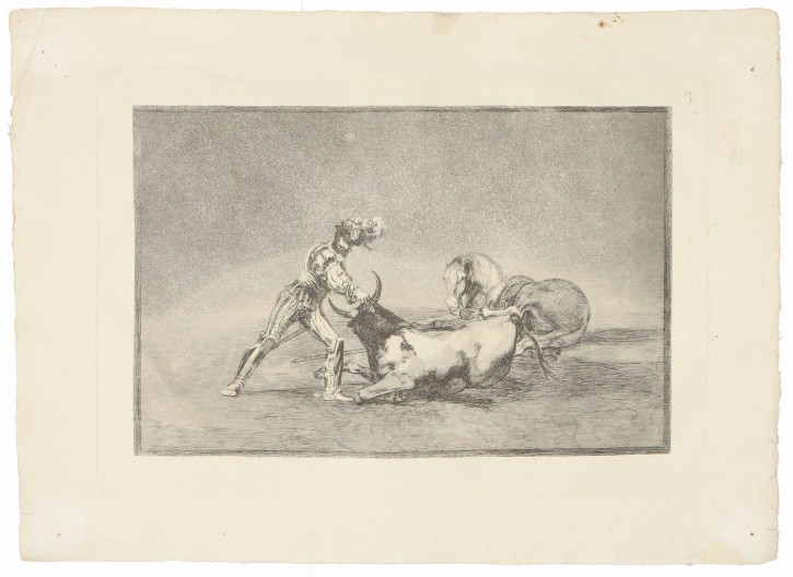 Un caballero español mata un toro despues de haber perdido el caballo. Goya Lucientes, Francisco de (1746-1828). 1816