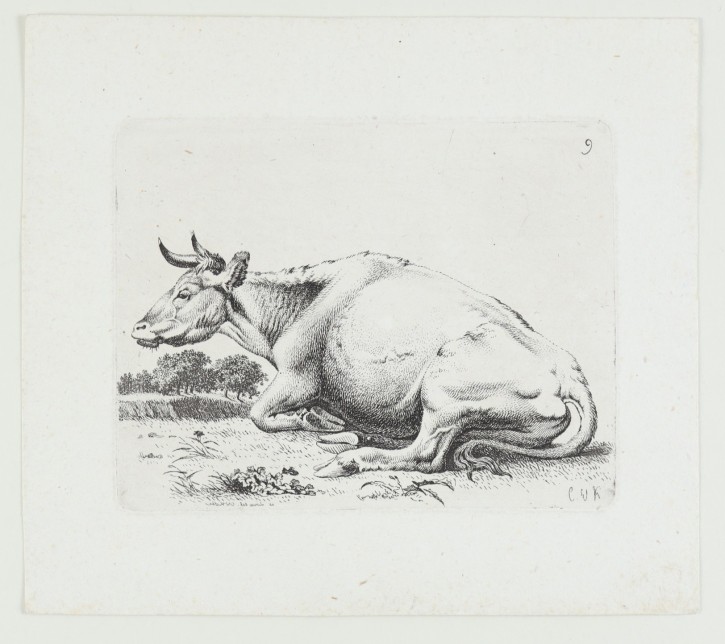 Cow. Kolbe, Carl Wilhem (1759-1835). . Precio: 250€
